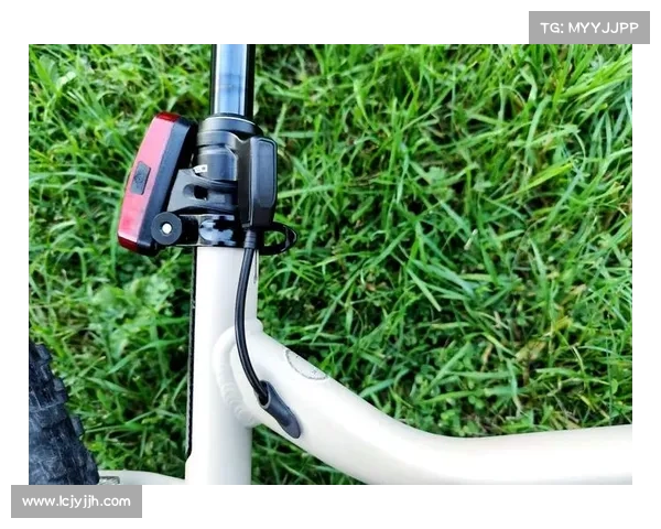 山东自行车产业智能制造升级 碳纤维新工艺助力绿色创新发展